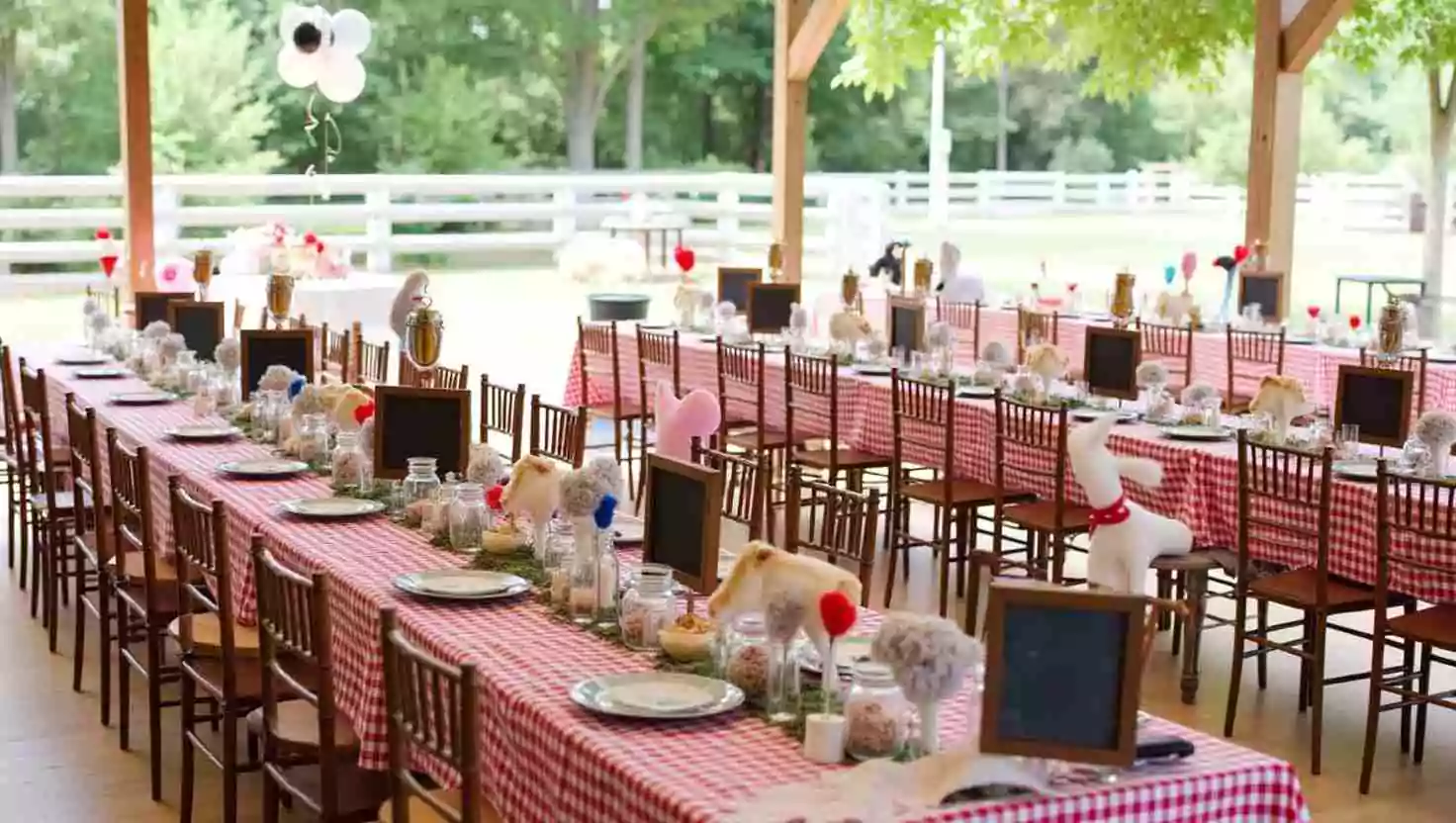 A beautifully decorated outdoor table setup for a farm-themed birthday party. Long tables are covered with red gingham tablecloths, surrounded by wooden chairs, and adorned with small decorations, mason jars, and plates. The setting includes rustic and cozy elements under a wooden pavilion.